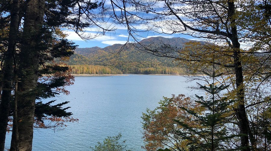 🏞️ 타우슈베츠강 교량 전망대(타우슈베츠가와쿄료텐보다이) 이미지 7